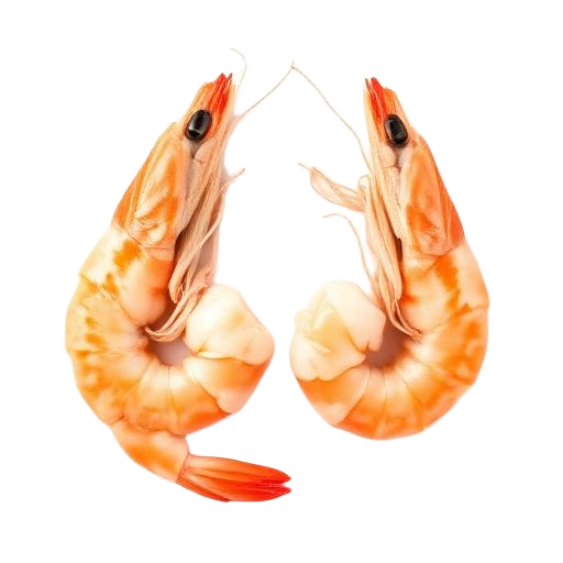 Crevette